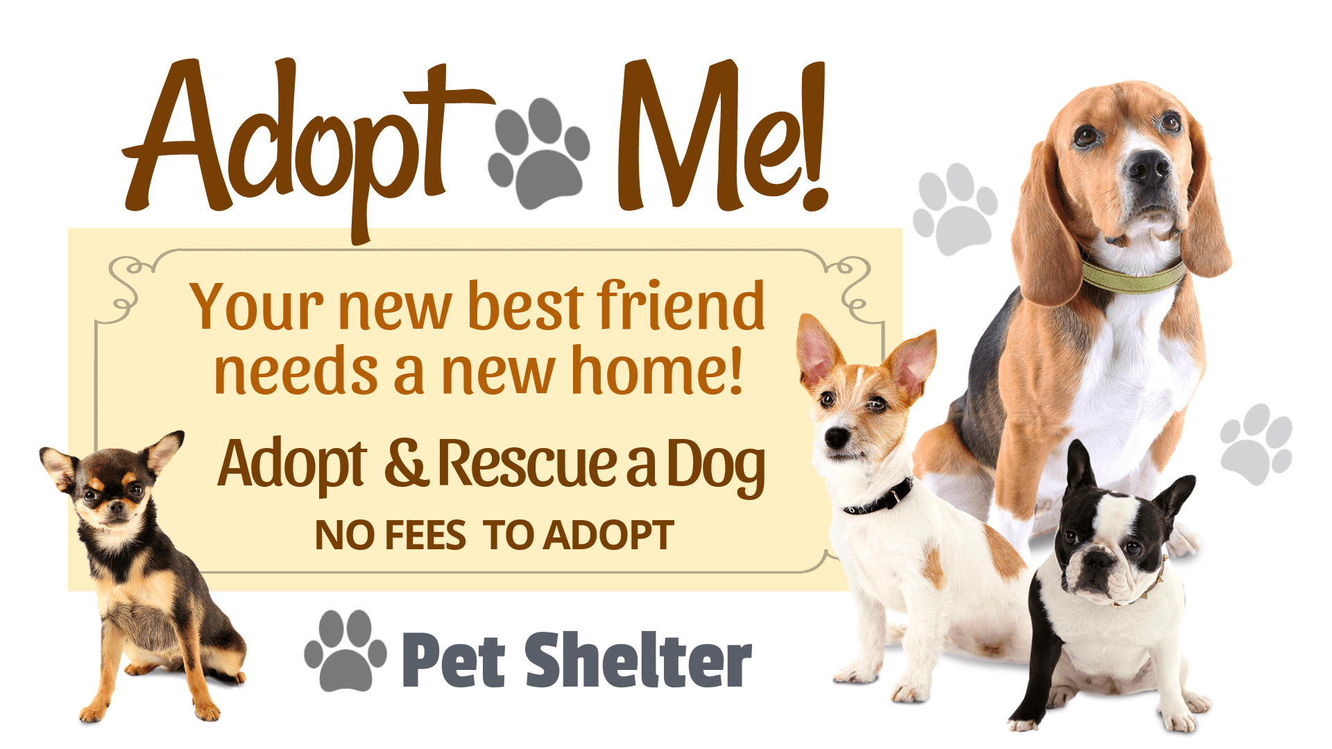 Adpro-Pet-Shop-Industry-2