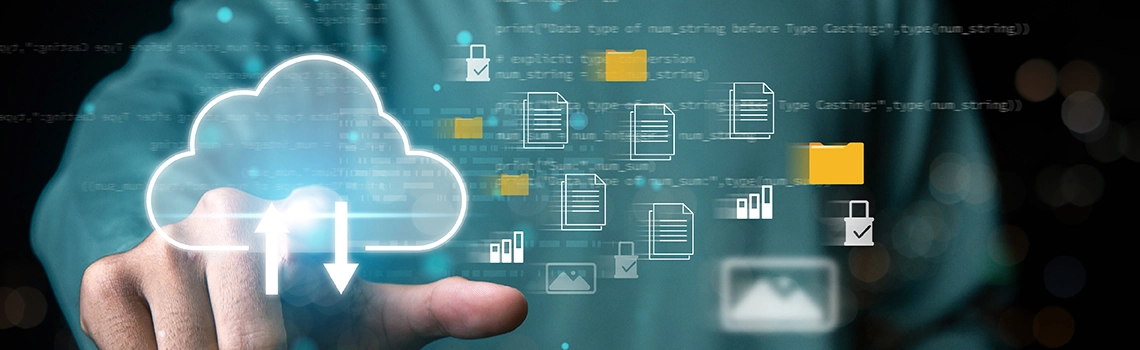 On-premises Software Maintenance